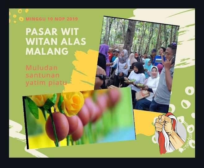 IMG-20191109-WA0074