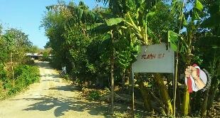 IMG_20191108_160617-309x166