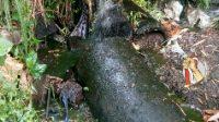 IMG_20191203_121459-237x144