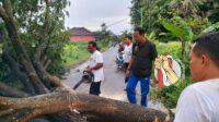 IMG-20230226-WA0033