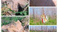 20230522_153018-COLLAGE