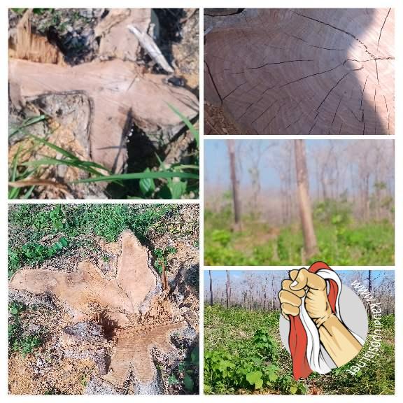 20230522_153018-COLLAGE