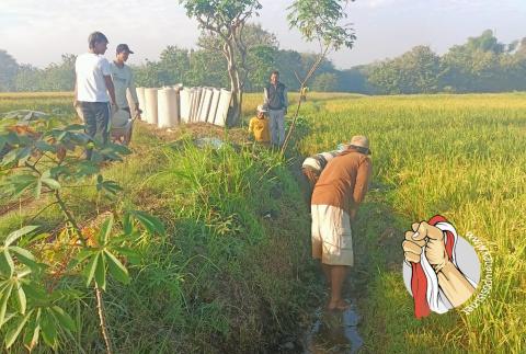 IMG-20230713-WA0020_copy_480x323