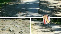 IMG-20240920-WA0020