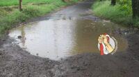 IMG-20241209-WA0053