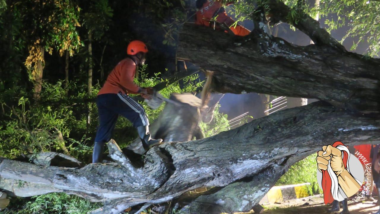 IMG-20250102-WA0053