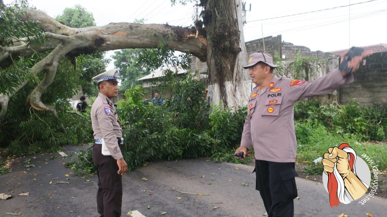 IMG-20250102-WA0070