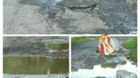IMG-20250110-WA0116