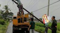 IMG-20250319-WA0106