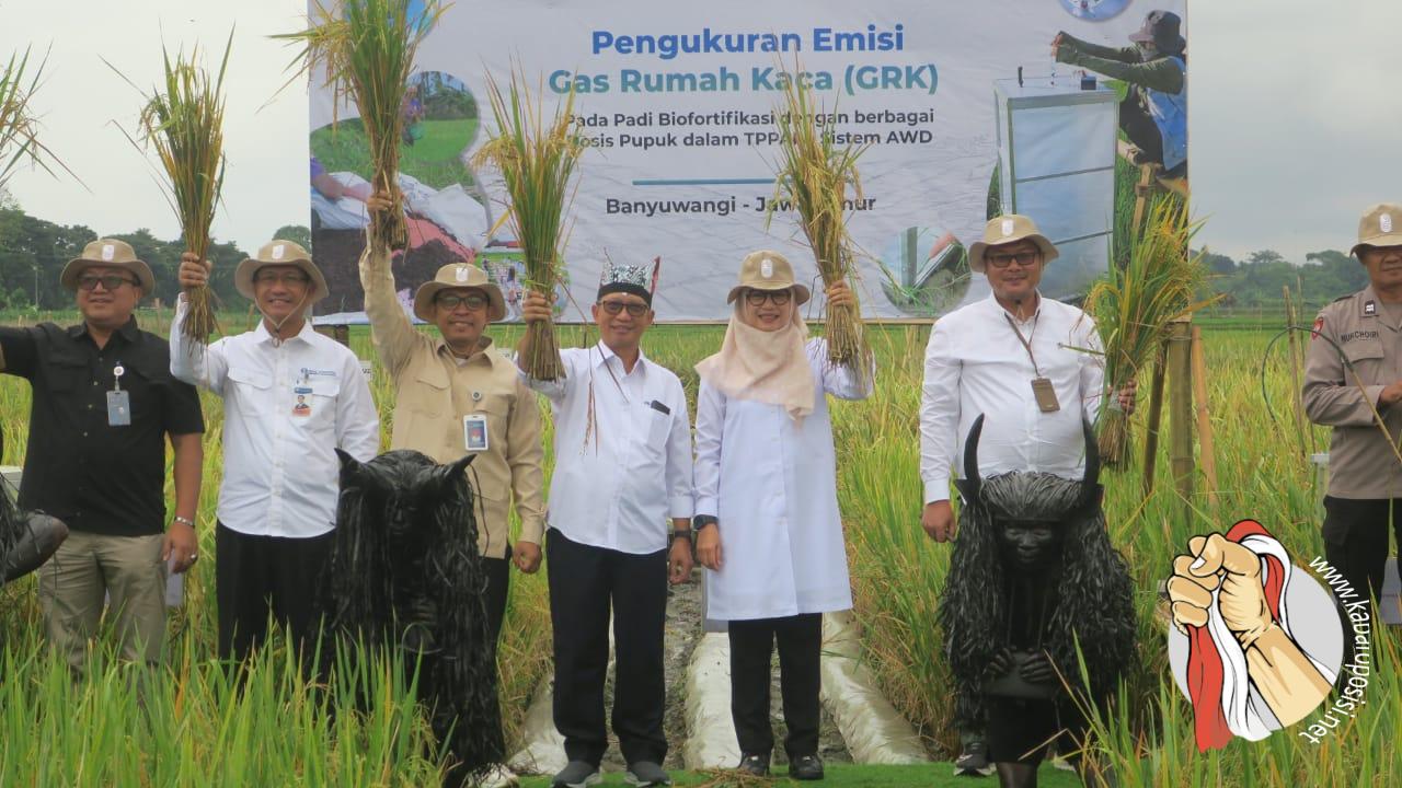 IMG-20250625-WA0045