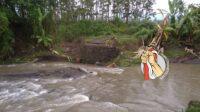IMG-20260122-WA0141