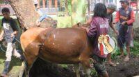 IMG-20260528-WA0021