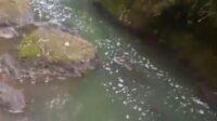IMG-20260907-WA0041